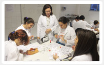 Lab Bio